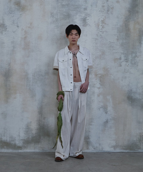 Linen Stripe Edge Pleat Trousers — gallery 787